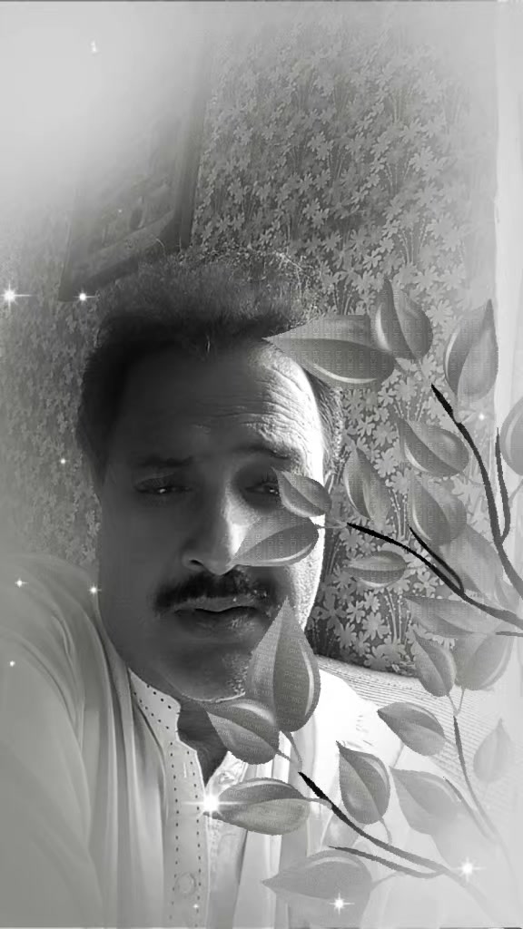@SyedBukhari808