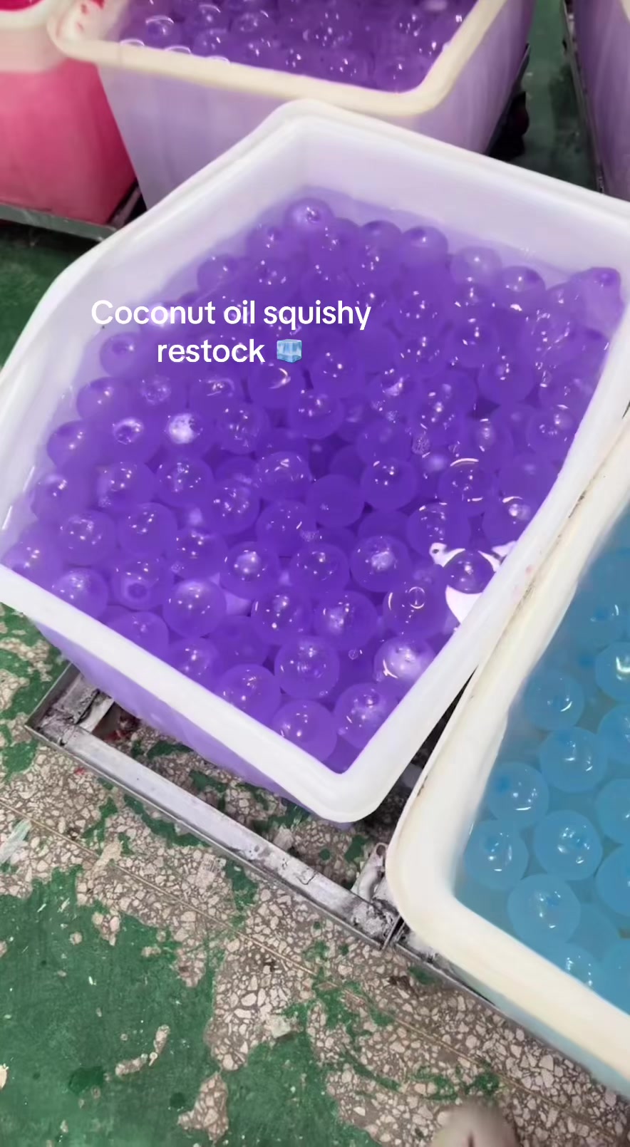 @Berry Squishy