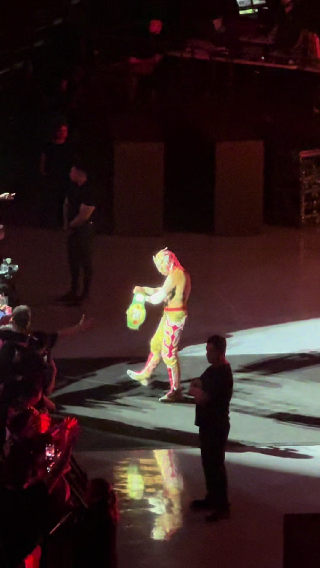 @VIDEO FACE WRESTLING