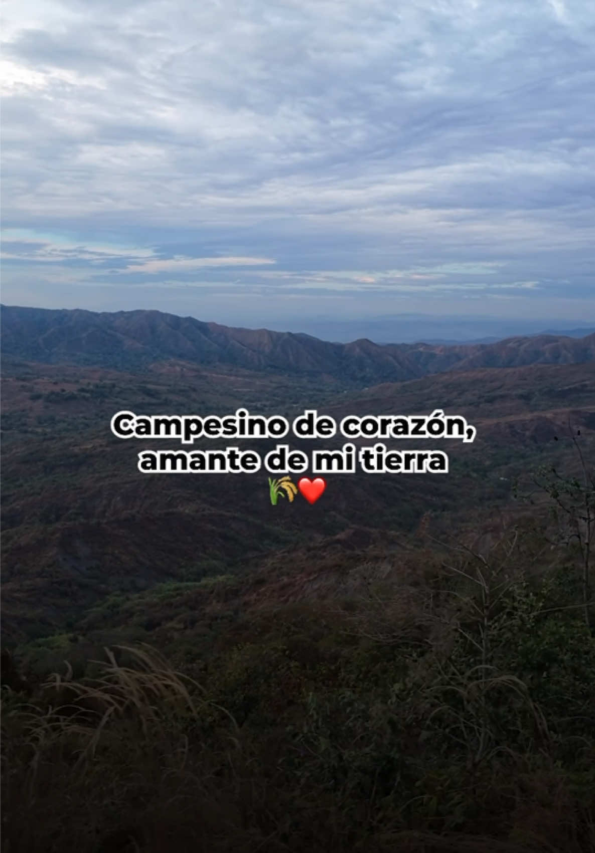 @Juan Carlos Zarabanda