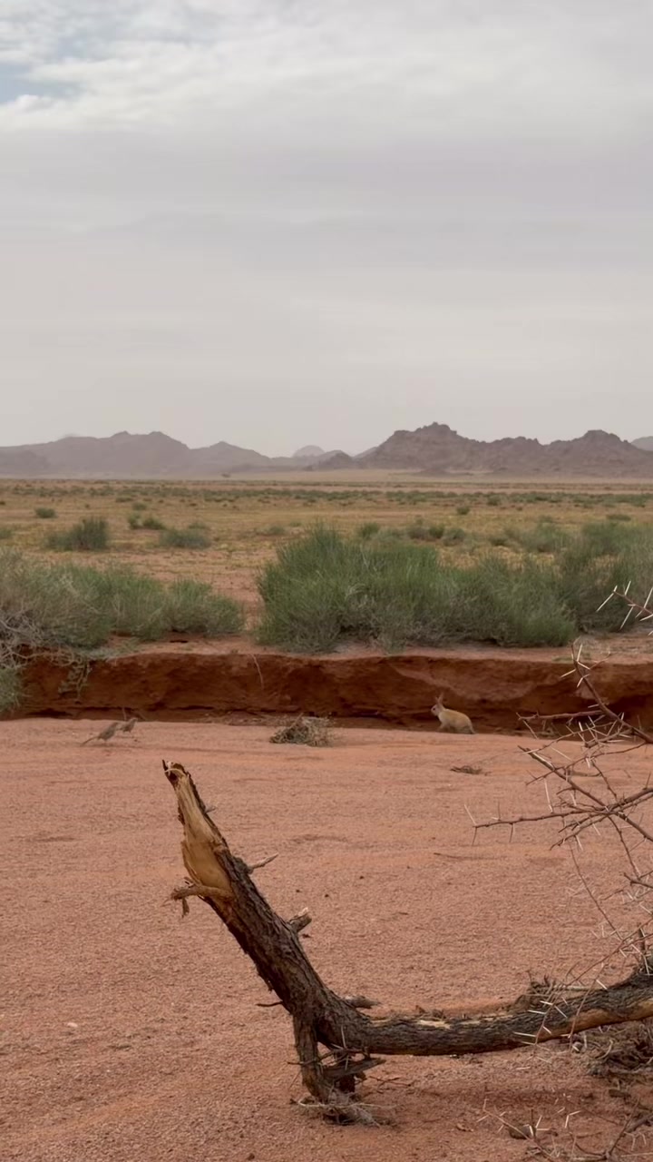 @آمـال ᥫ᭡