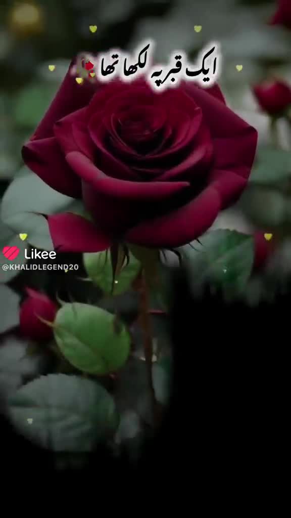 @SANAULLAH MALIK Ali ali ali