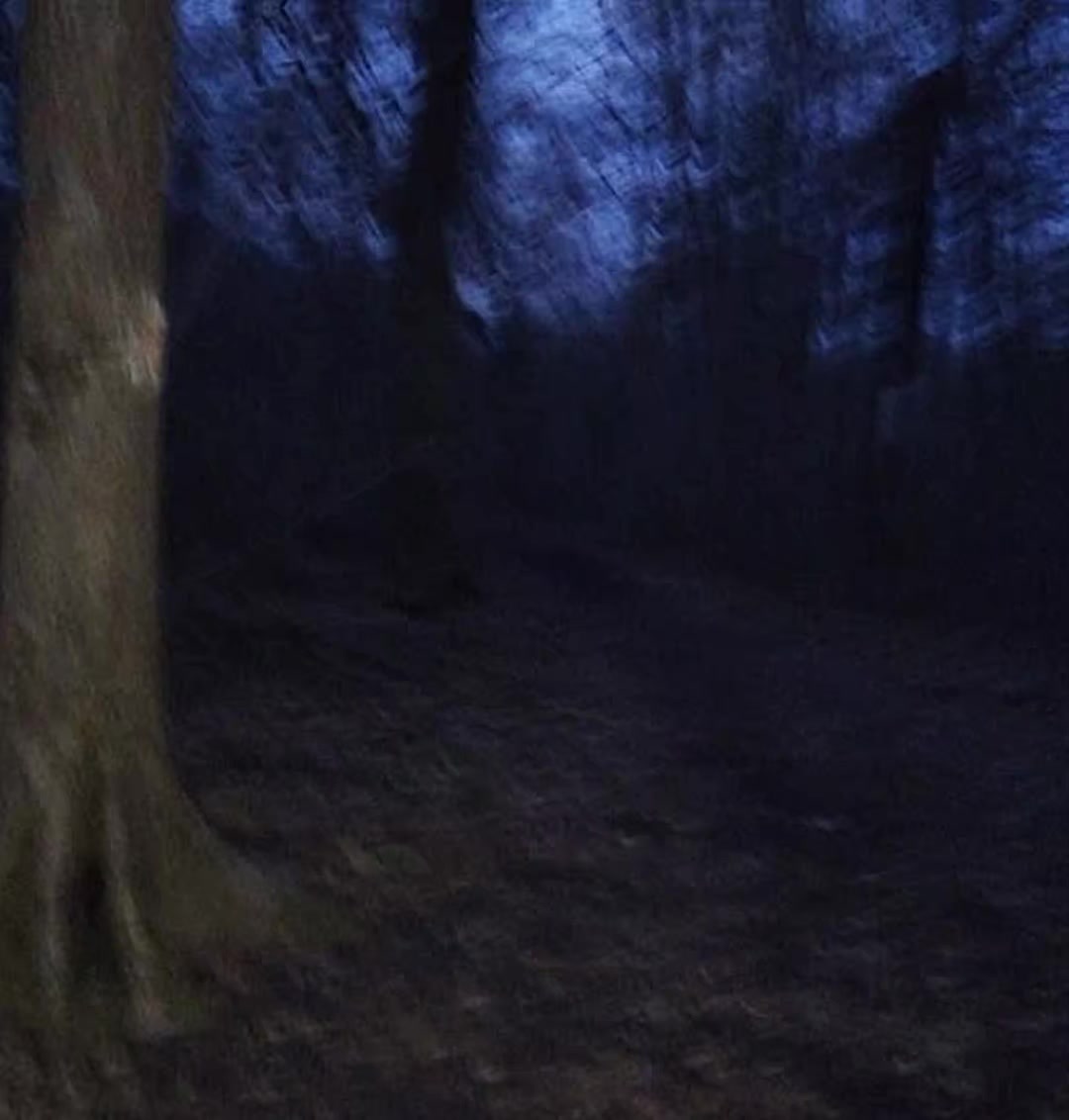 @ухожу нахуй