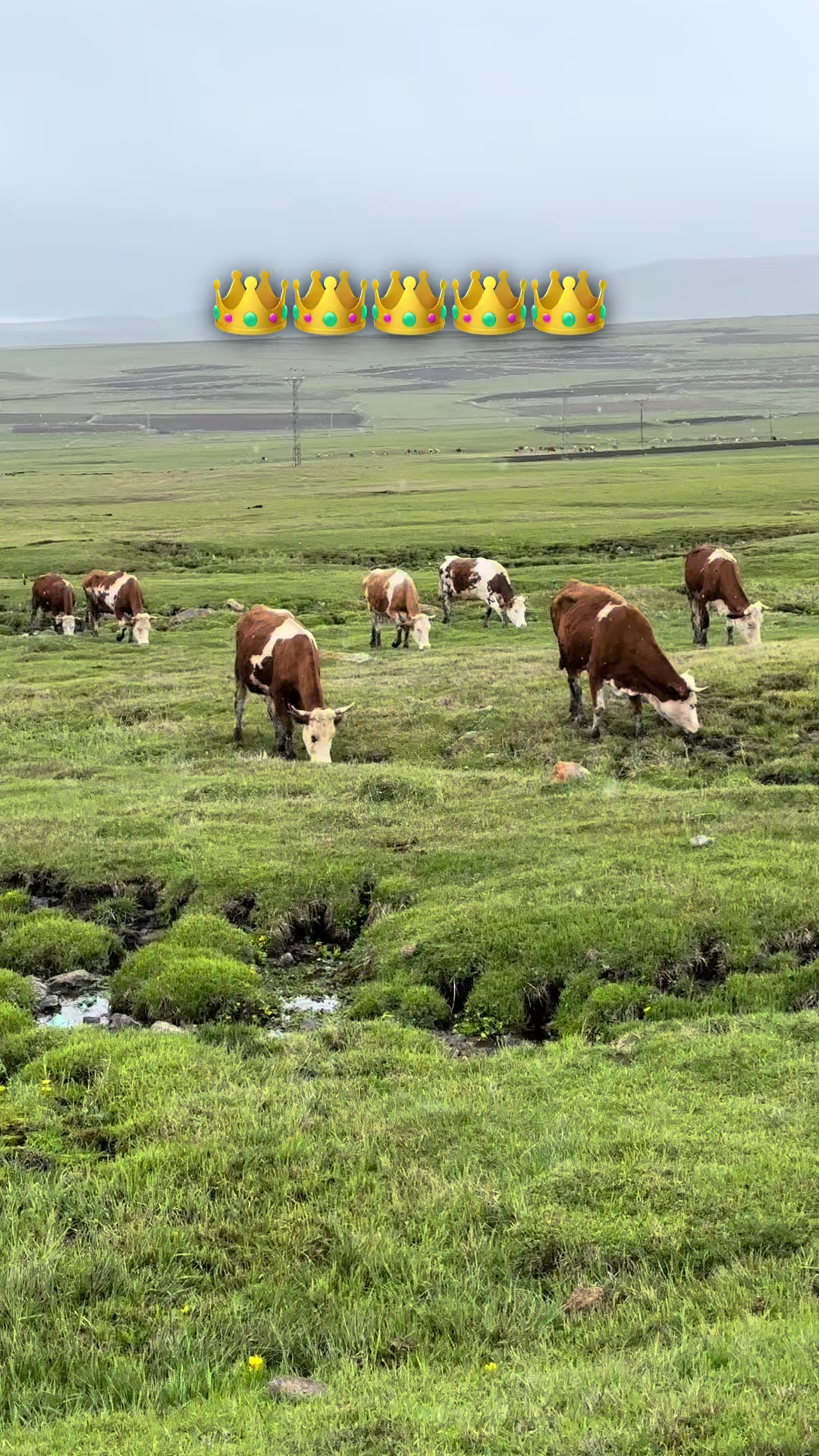 @𝑨𝑹𝑫𝑨  𝑨𝑳İ𝑶Ğ𝑳𝑼