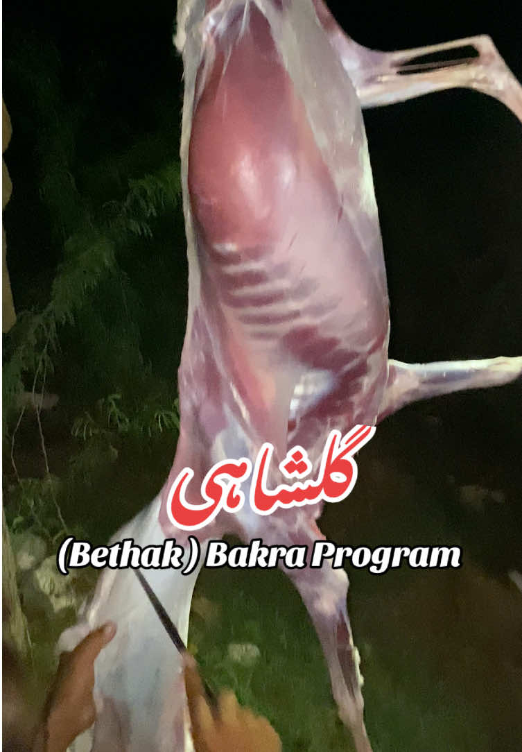 @وحید نیازی (گلشاہی)👑