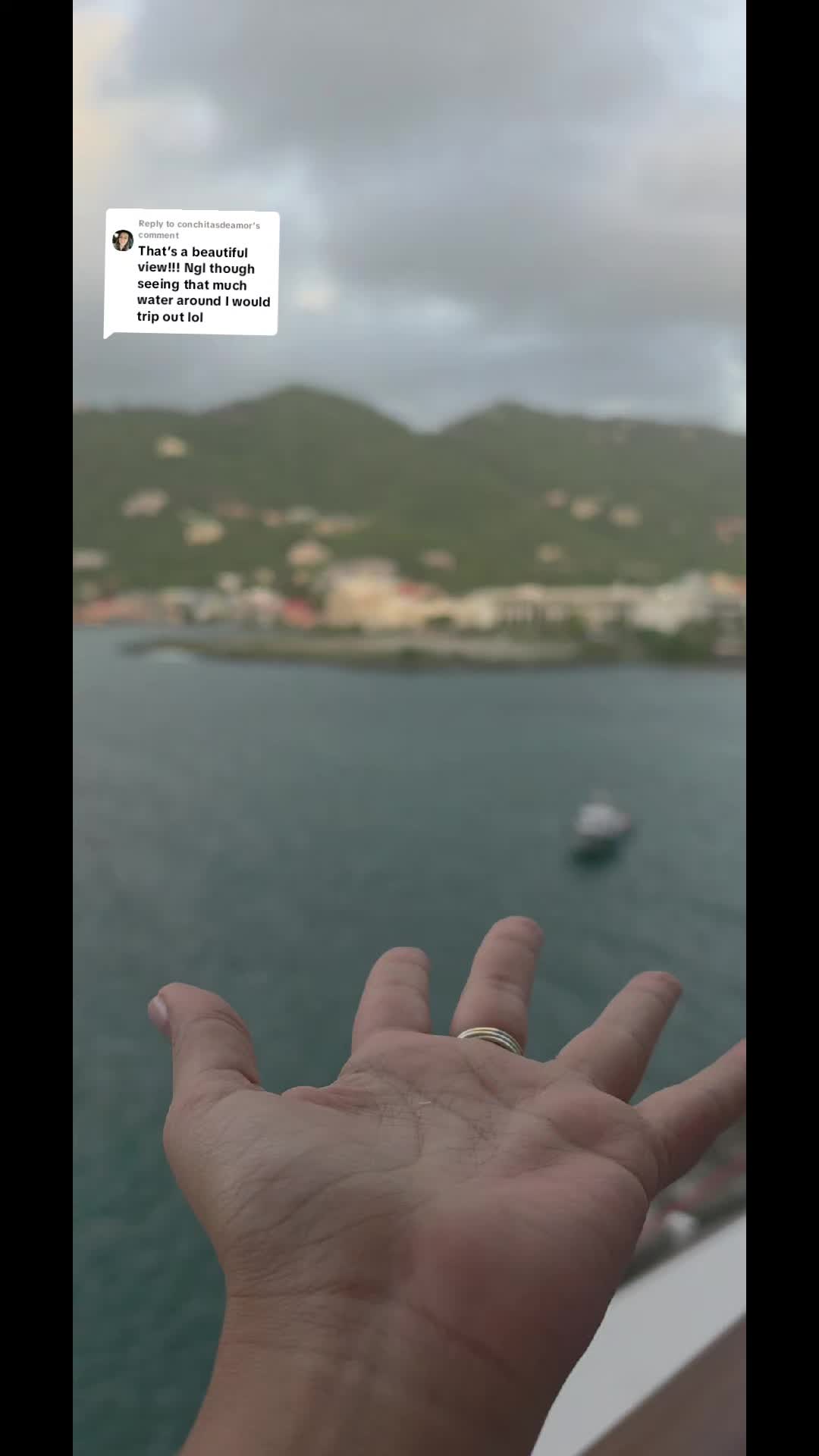 @Rimmtasic ✨️