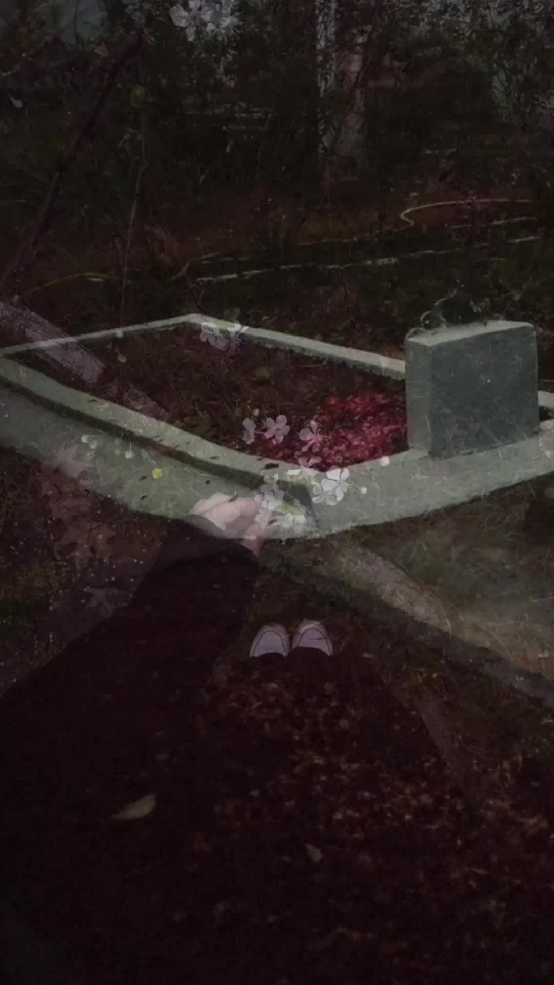 @𝐵𝑖𝑏𝑙𝑖𝑜𝑝ℎ𝑖𝑙𝑒 🦢