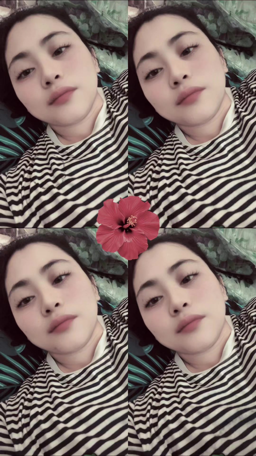 @🌸ALFEE 🍃