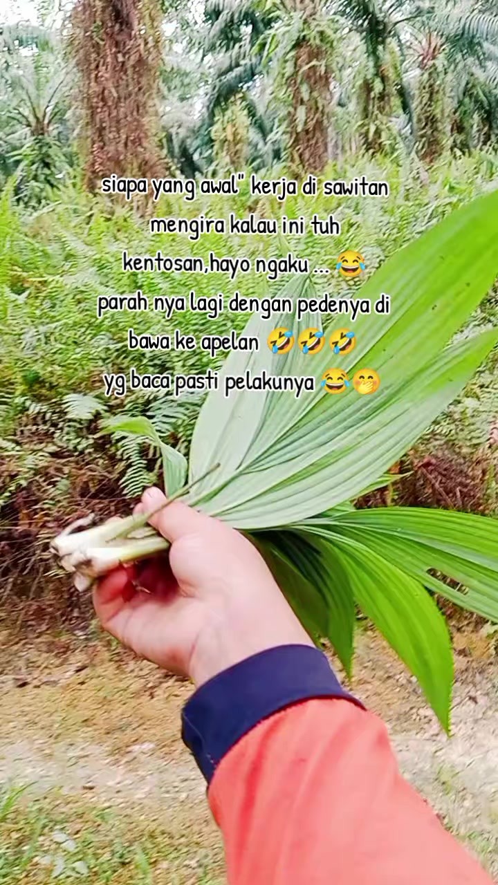 @Daryani yani