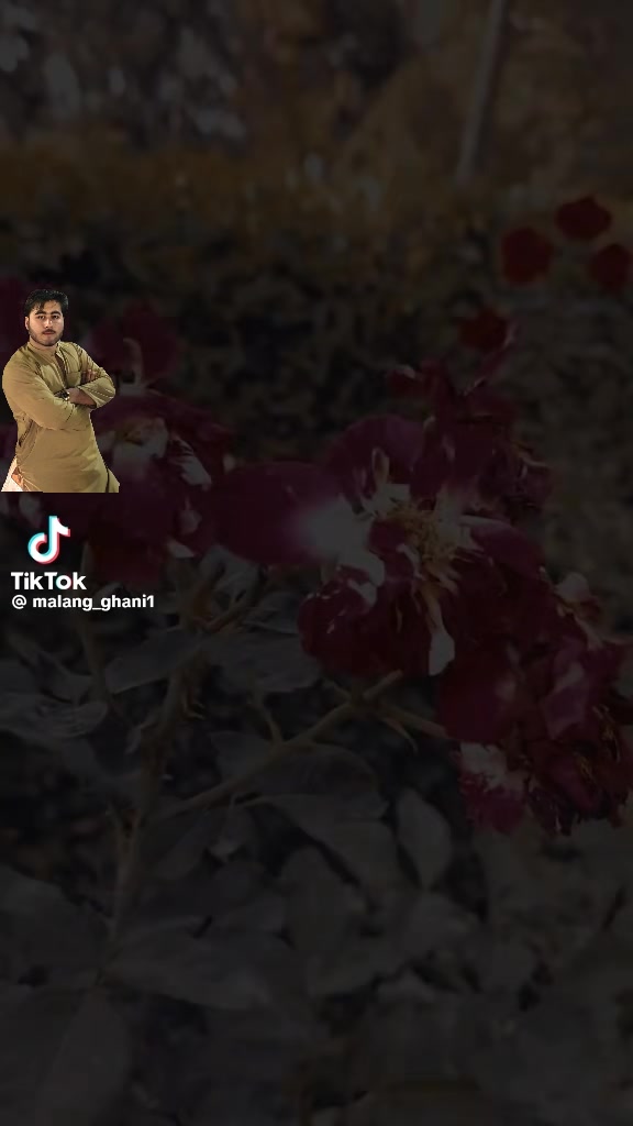 @M💝JAN