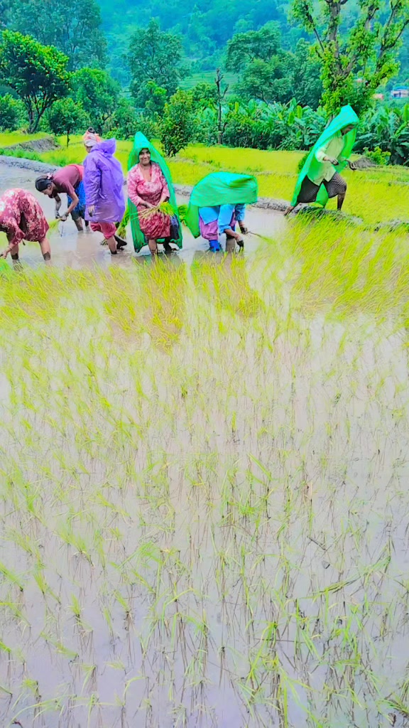 @Devi Khatri