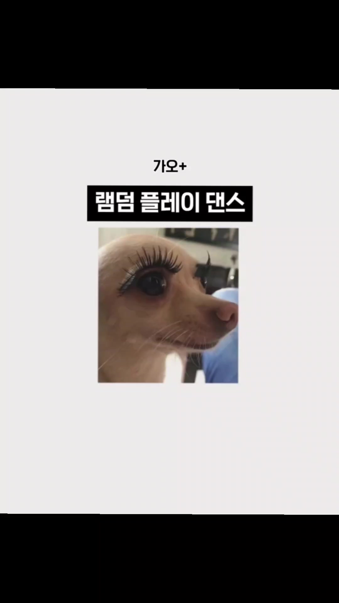 @현주껌딱지불다기🎀