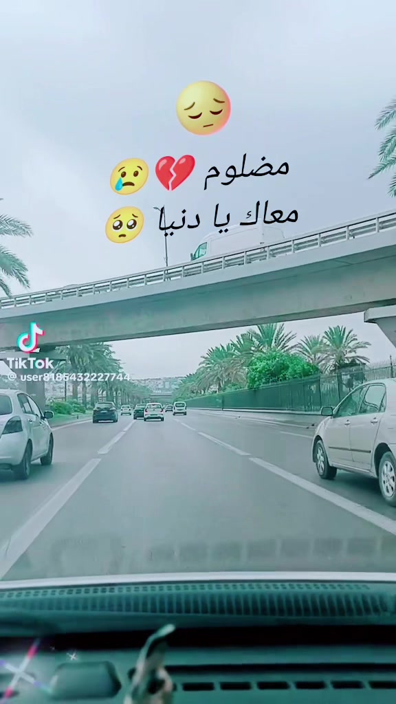 @53047050 hay zehour rabe3