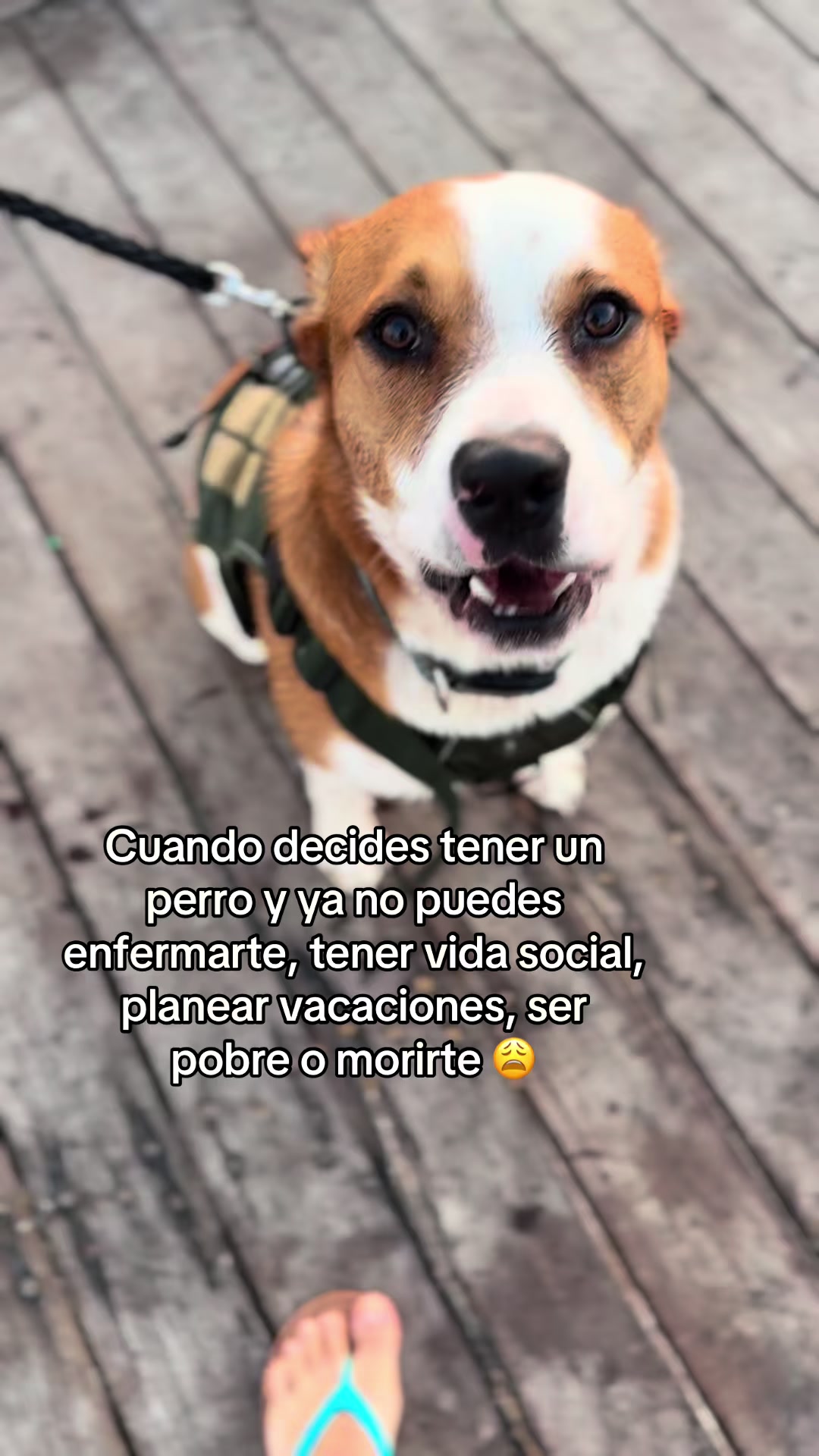 @Chumy Rubiano