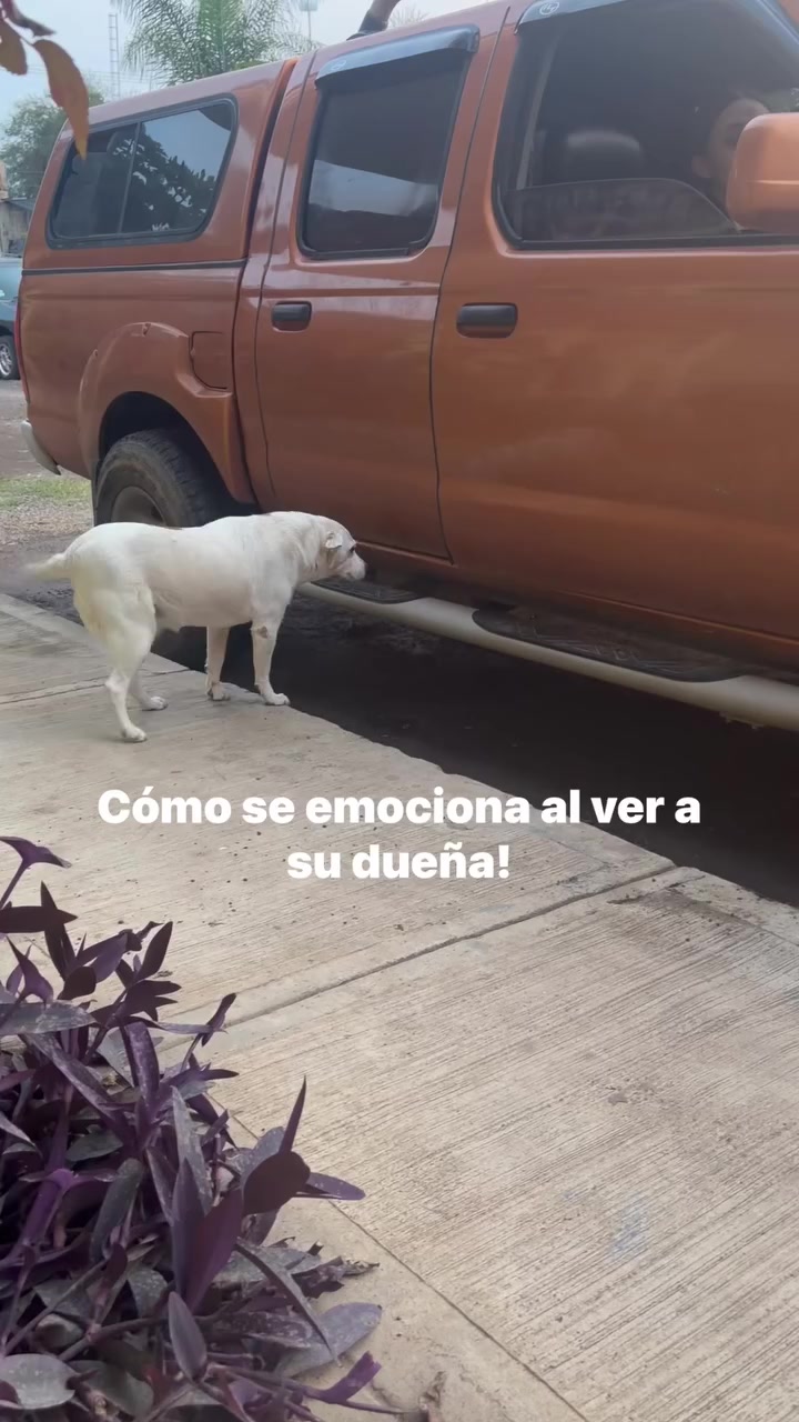 @BereRV