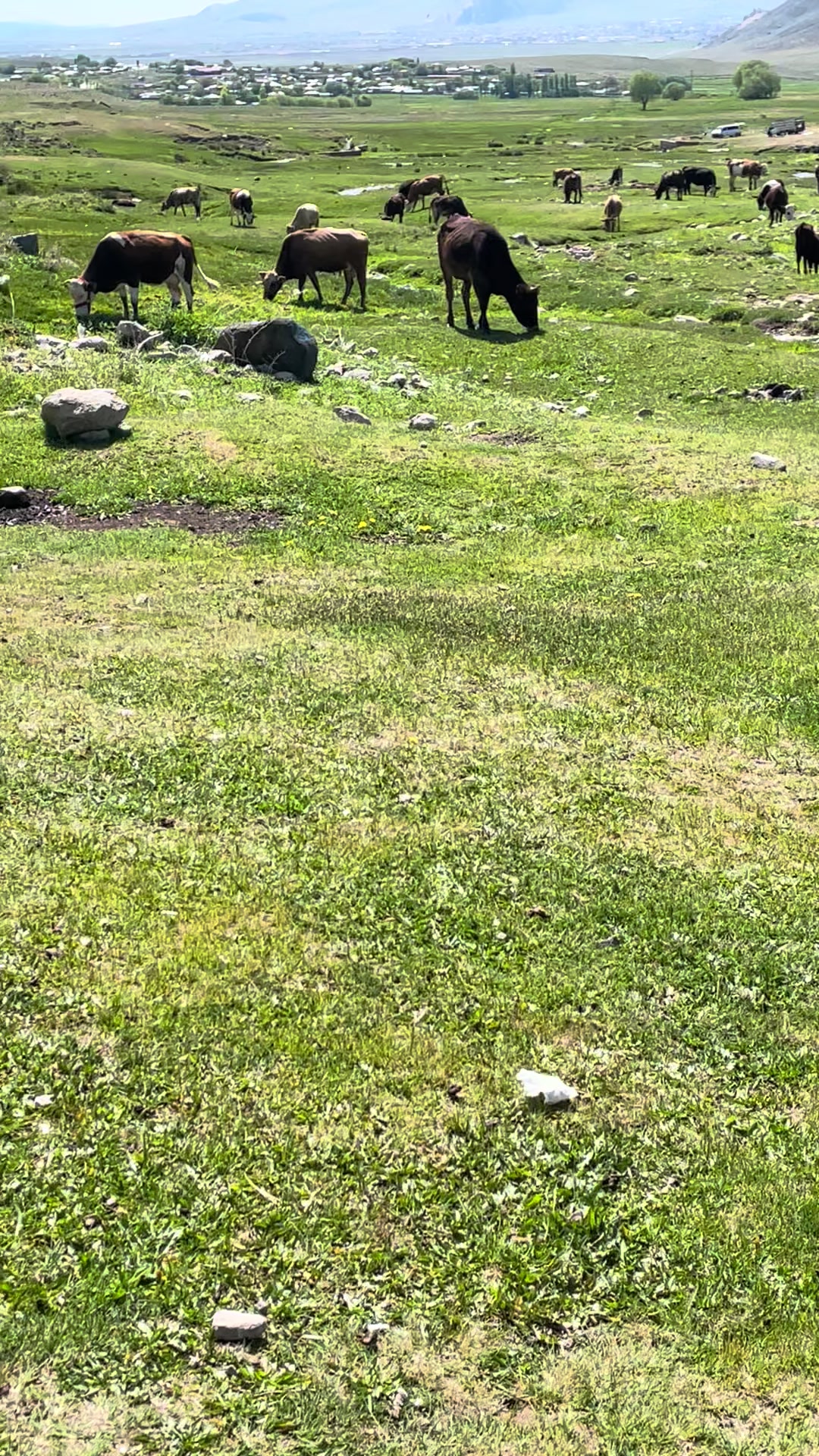 @deniz._.554