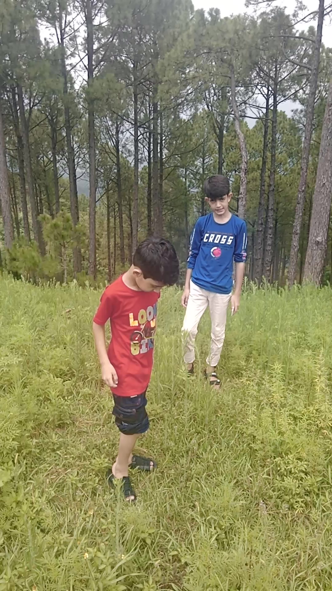 @Ali Akbar