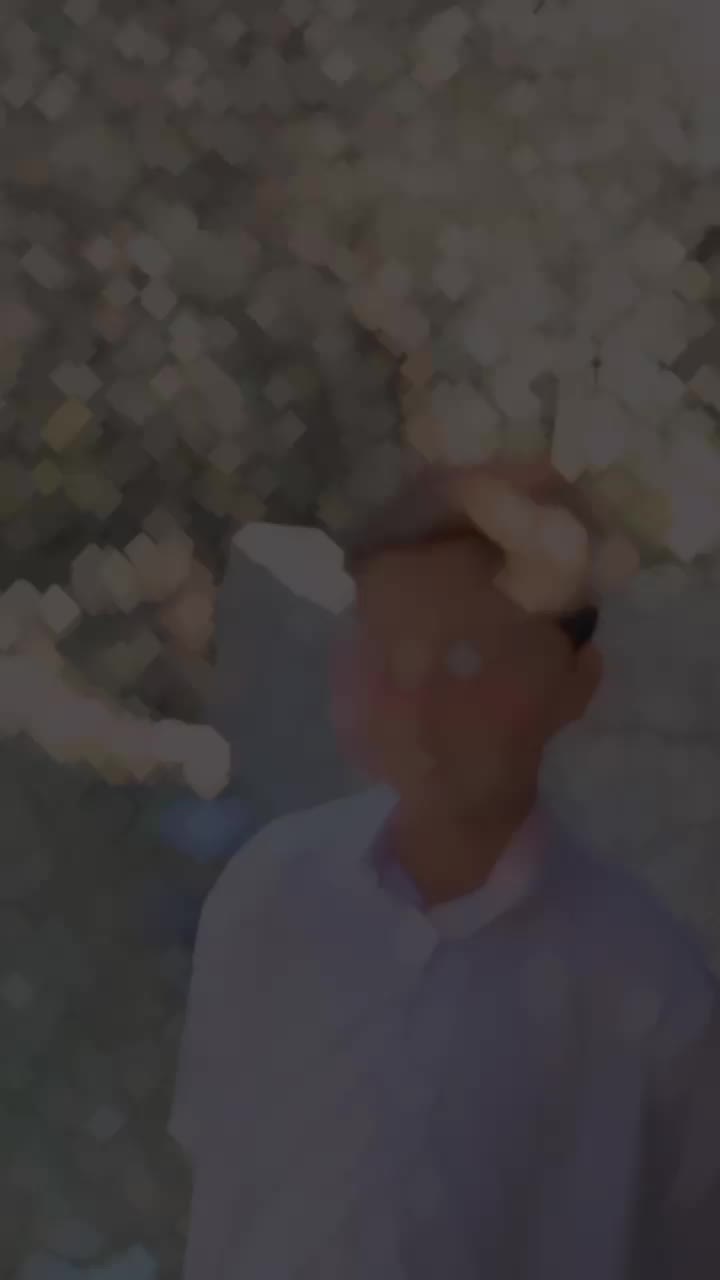@ᴹᴿꘘคн&alpha;ᴅ