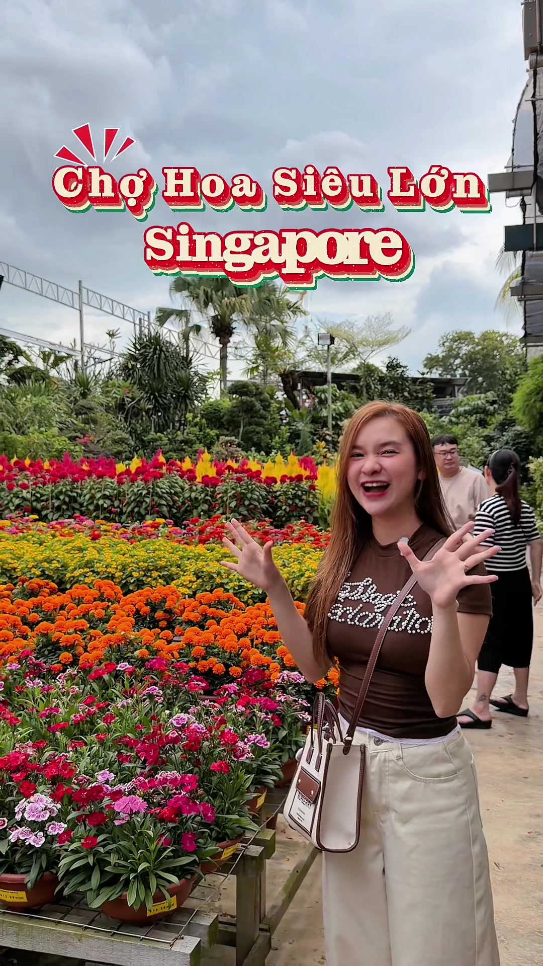 @🇻🇳Trinh B&agrave; Địa ở Sing 🇸🇬