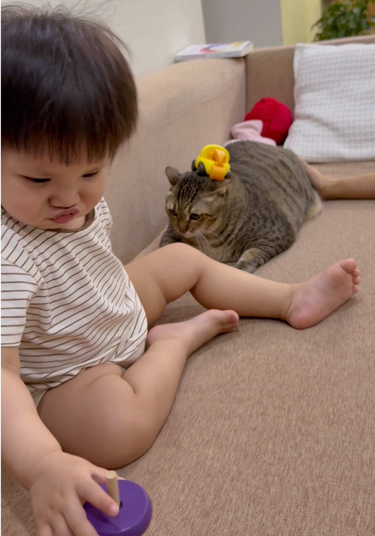 @Gia Đình Cá Cua