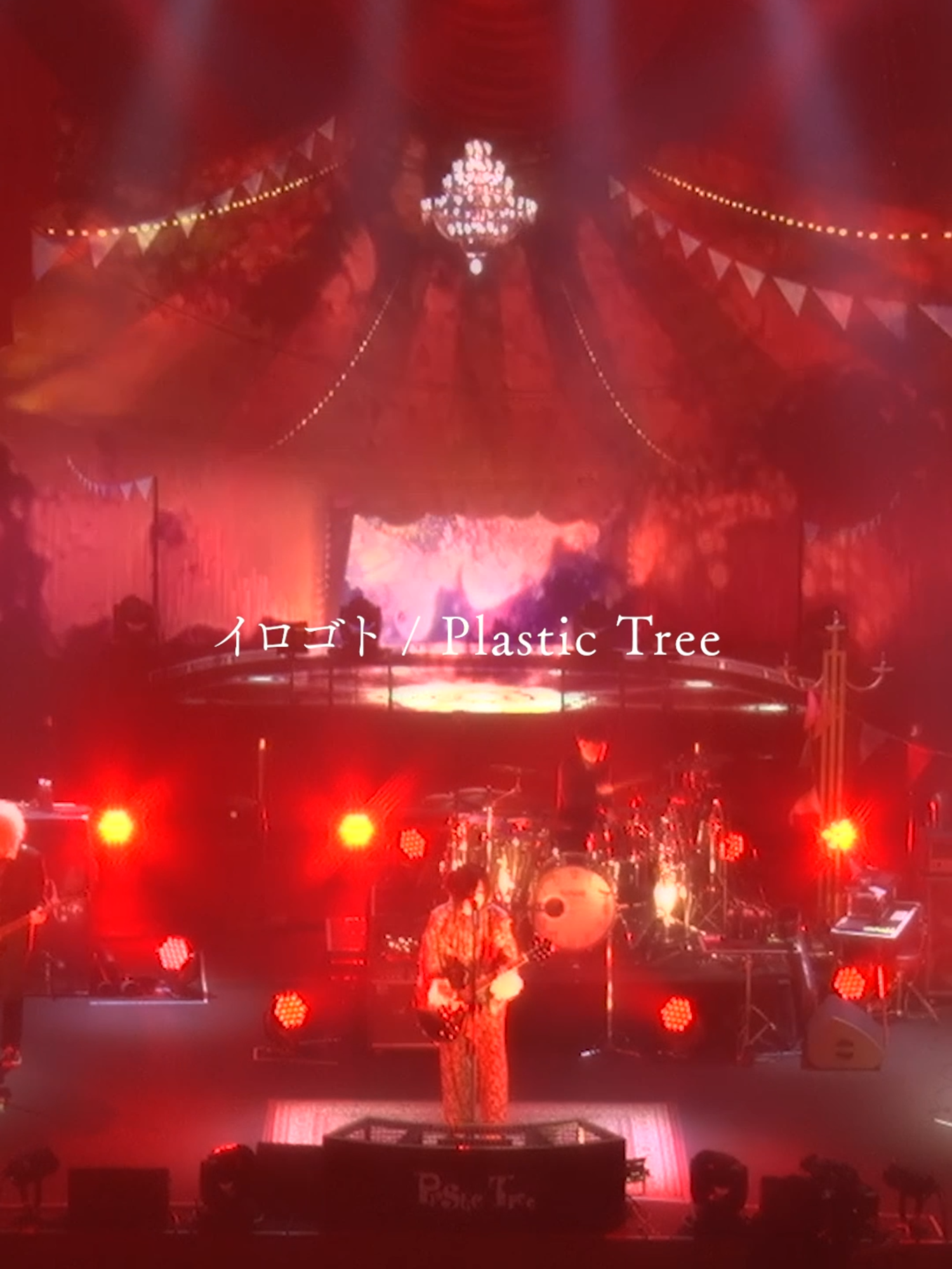 @Plastic Tree_official