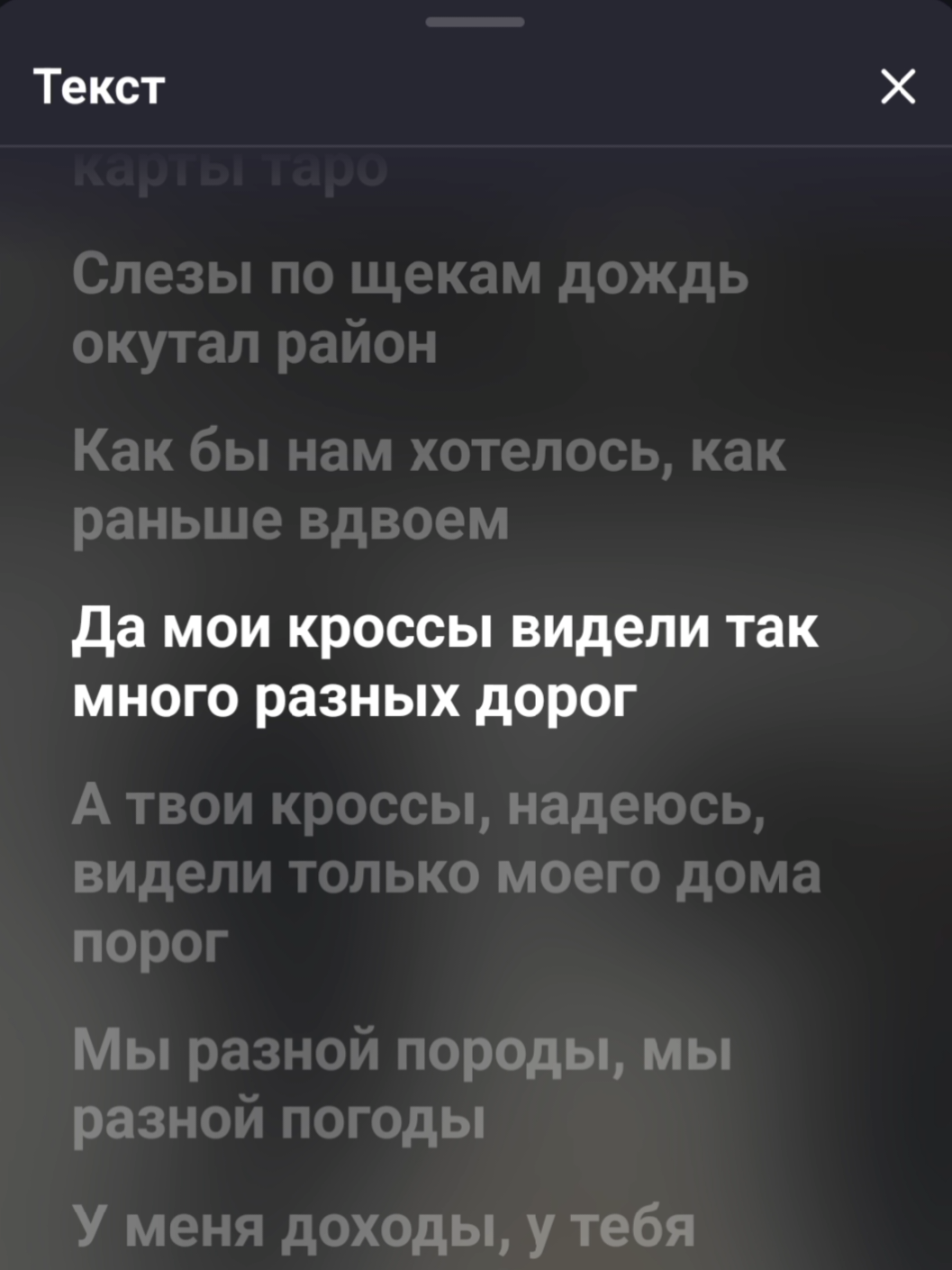 @music.viibe