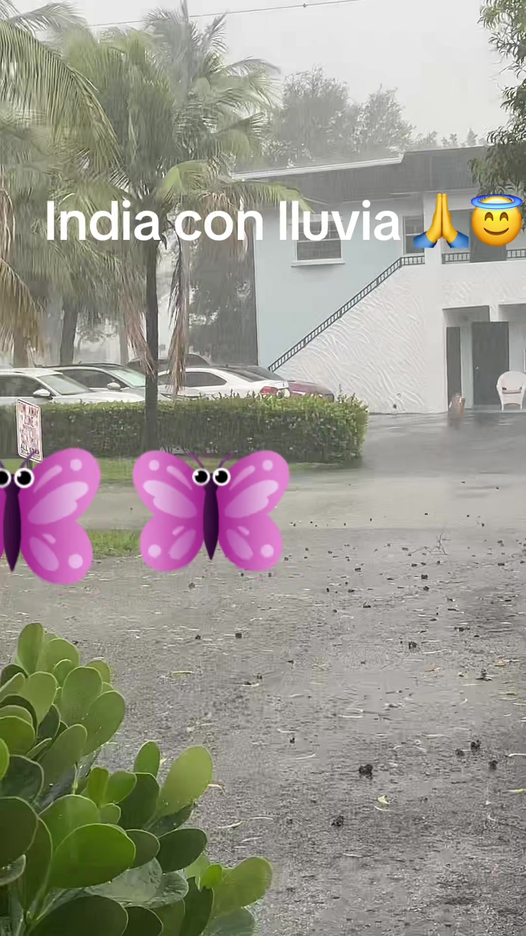 @Eralia Castro