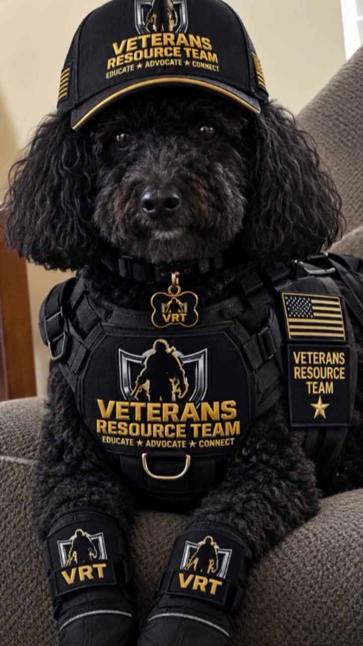 @Veterans Resource Team