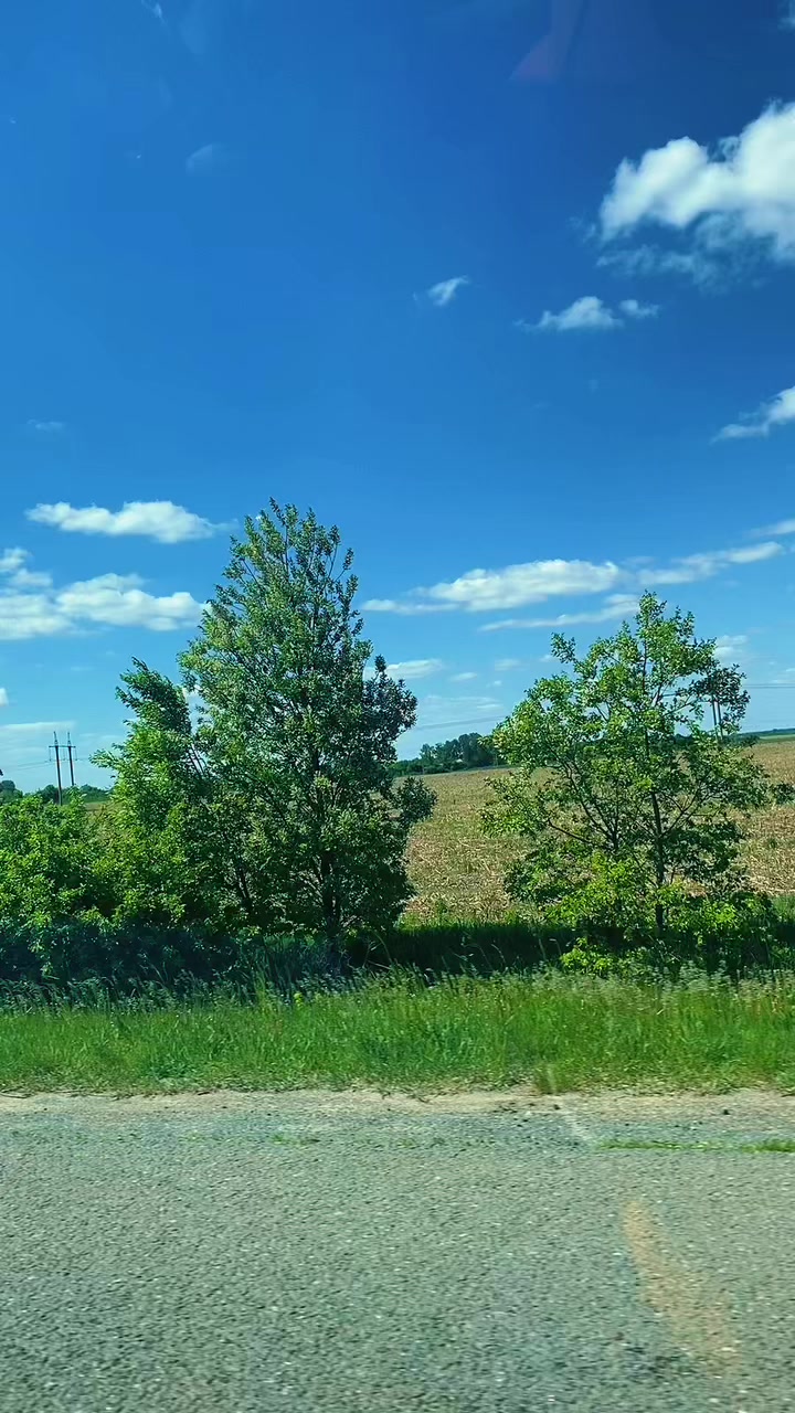 @Відьма 🐦&zwj;🔥