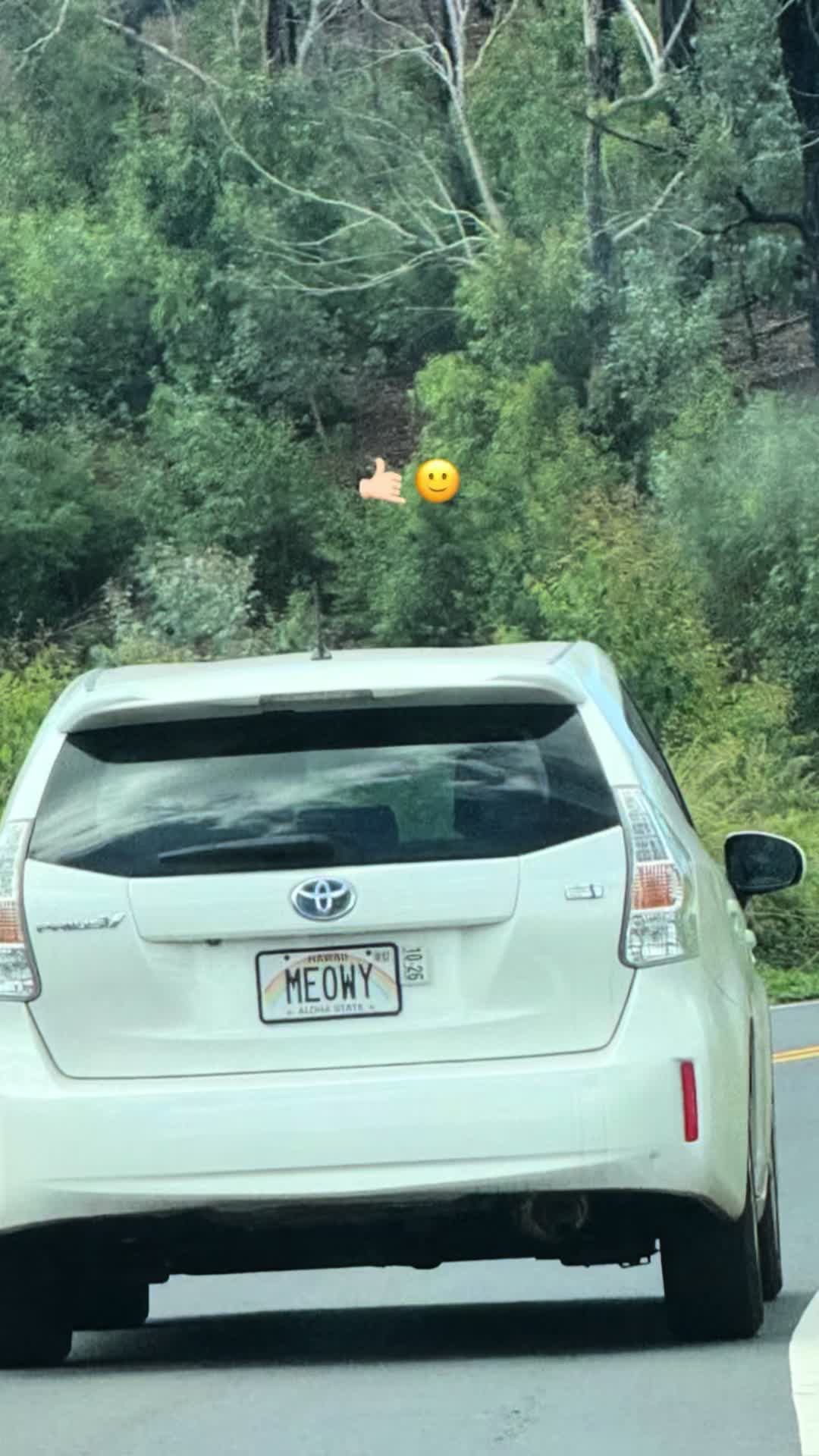 @meowypopoki