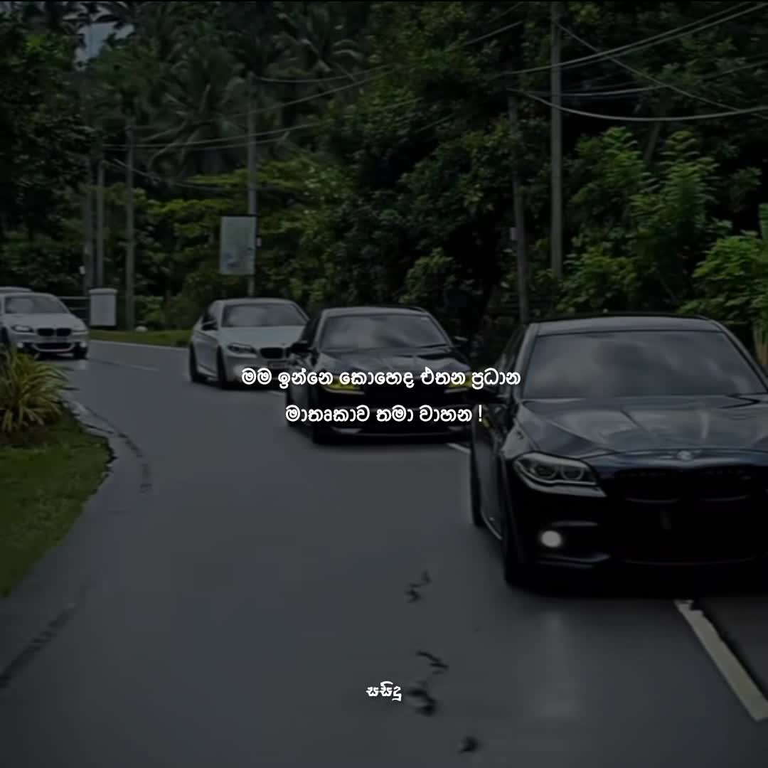 @サシ 🇧🇷