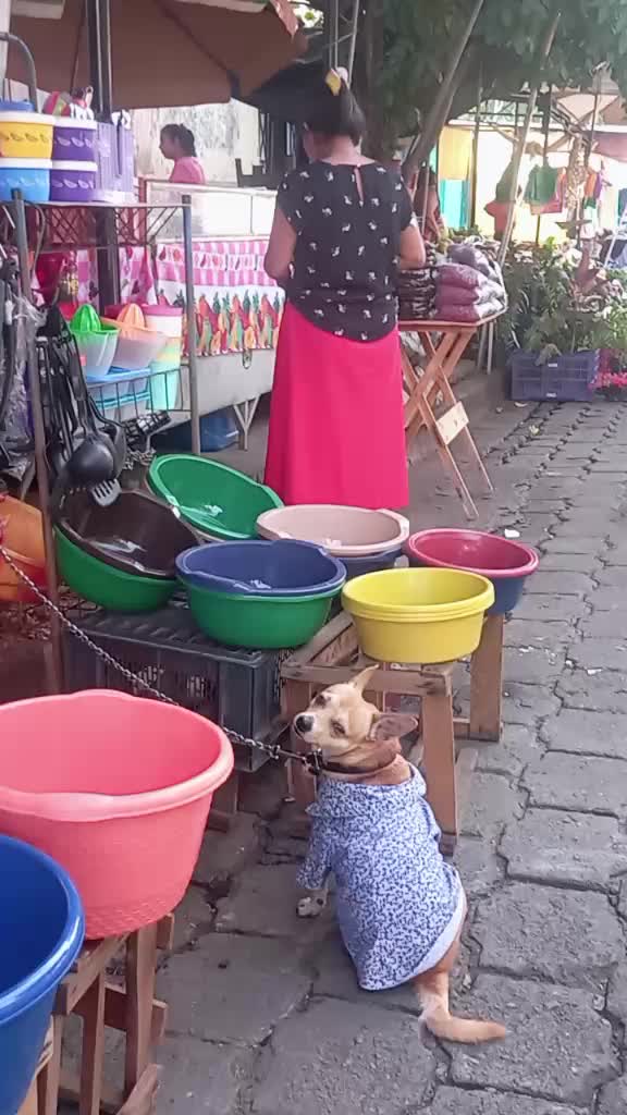 @Ana Yanira Vasquez