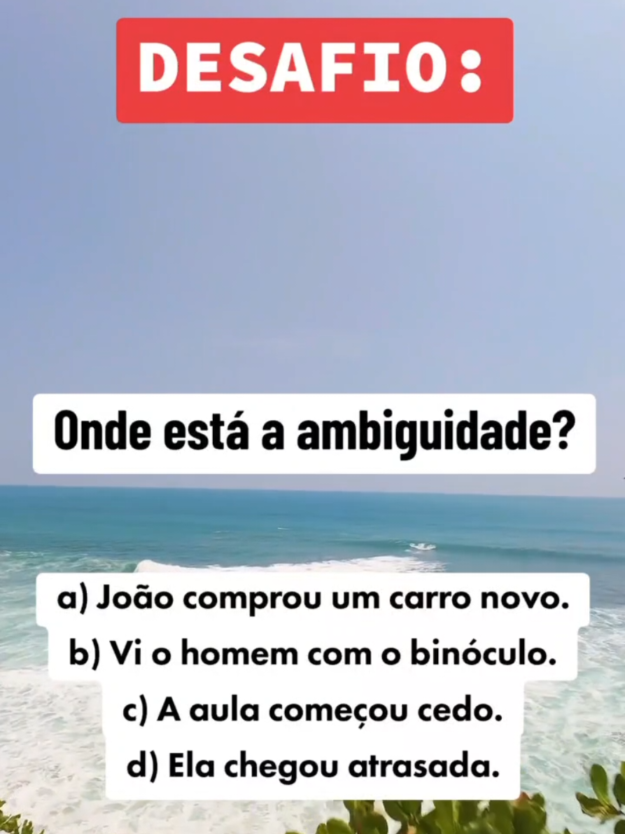 @@portuguescomemily