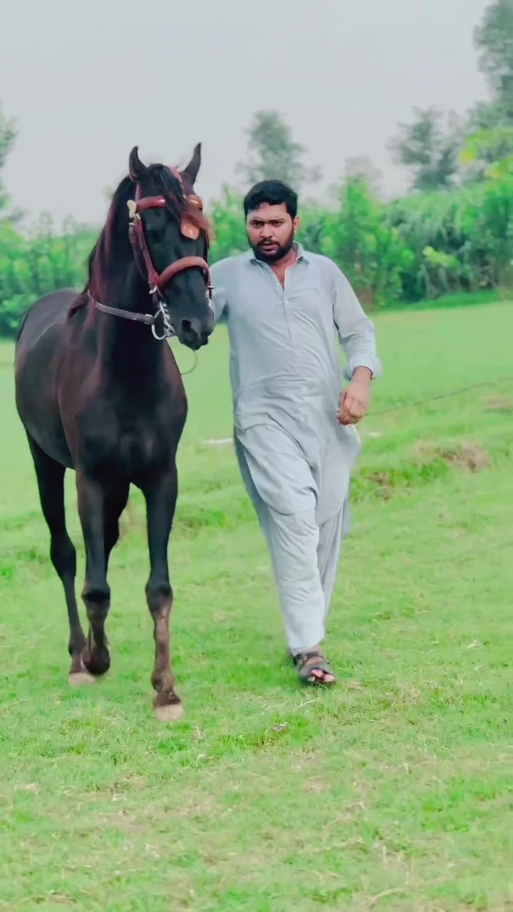 @مہر عبدالرحمن ڈاہر⚜️