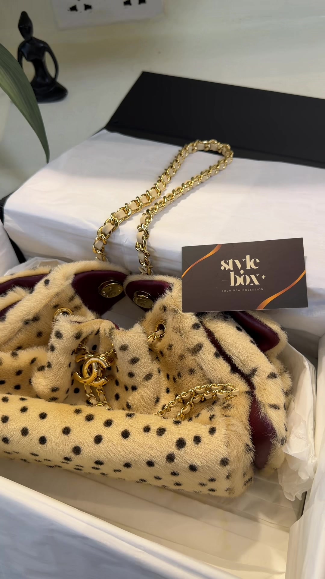 @Stylebox.ng