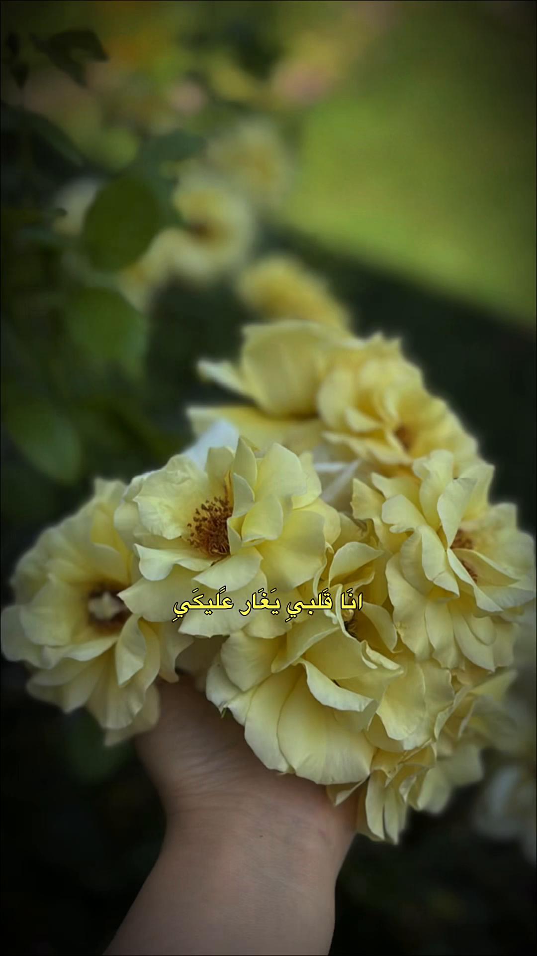 @ɴᴇʀᴠɪɴ|🫀