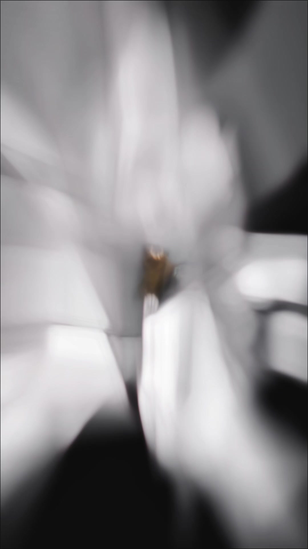 @❦𝓜𝓲𝓼𝓼⋆𝔣 𝒶 丅 丨 ϻ 𝒶 ࿐ •