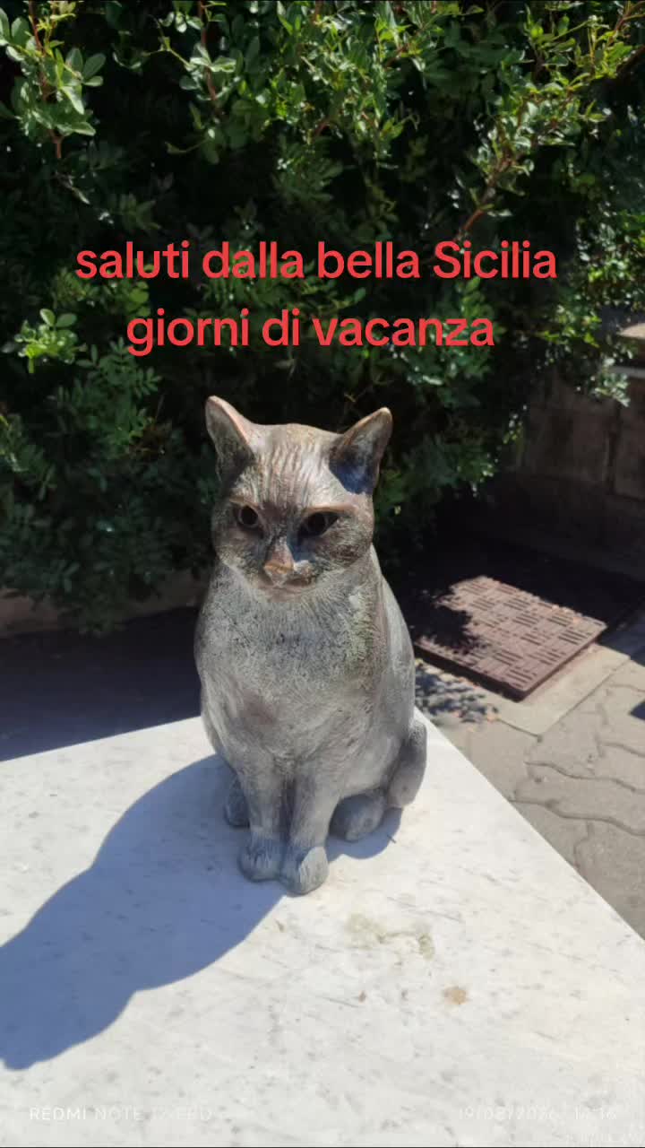 @.matteo