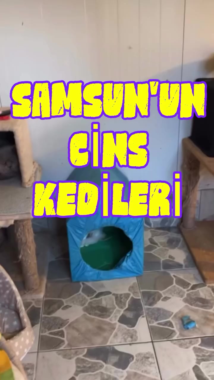 @Serpil YILMAZ