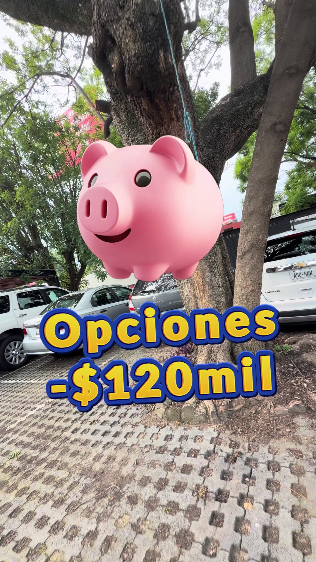 @V Seccion