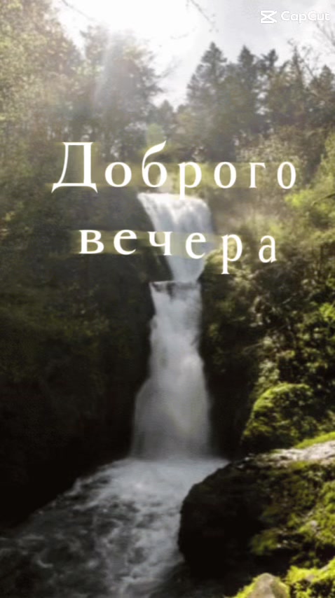 @akitakot2