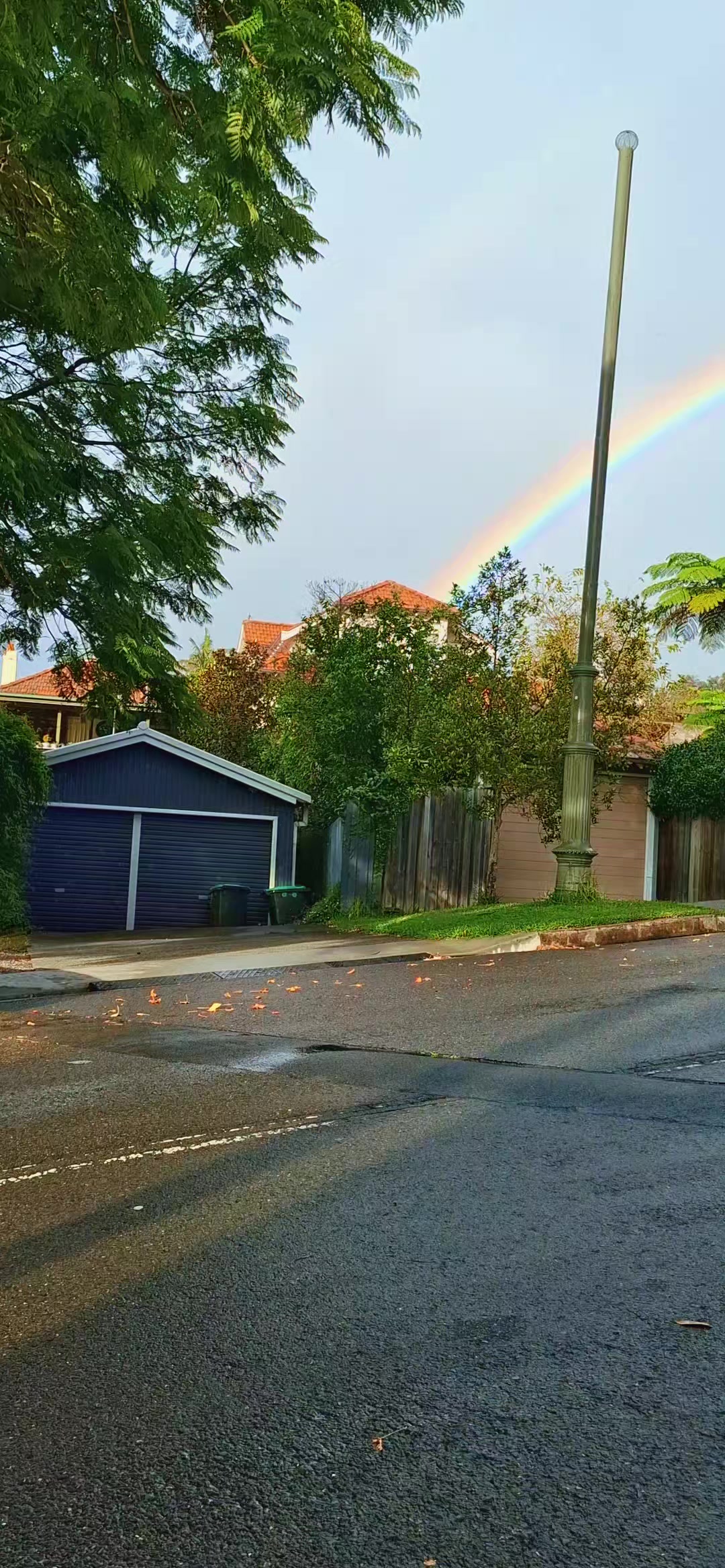 @Daniela✅️🇦🇺