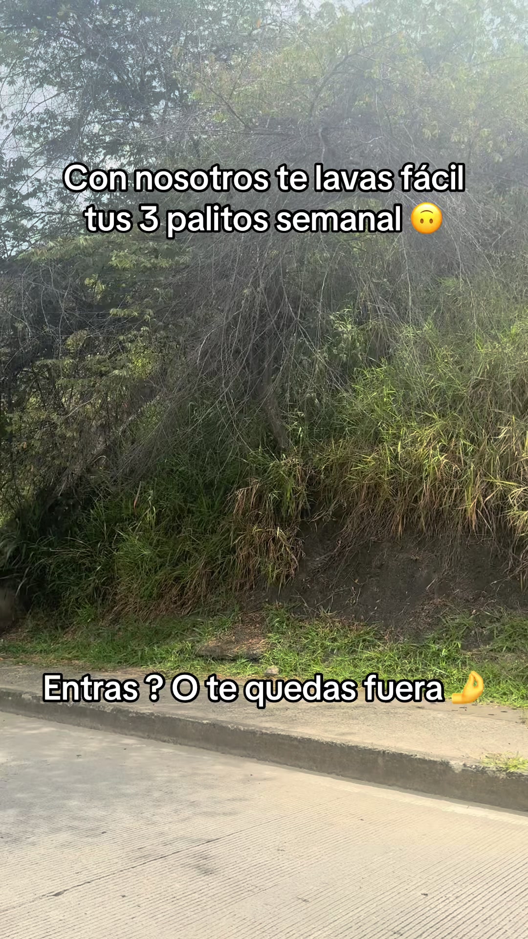@Reyes 🔖