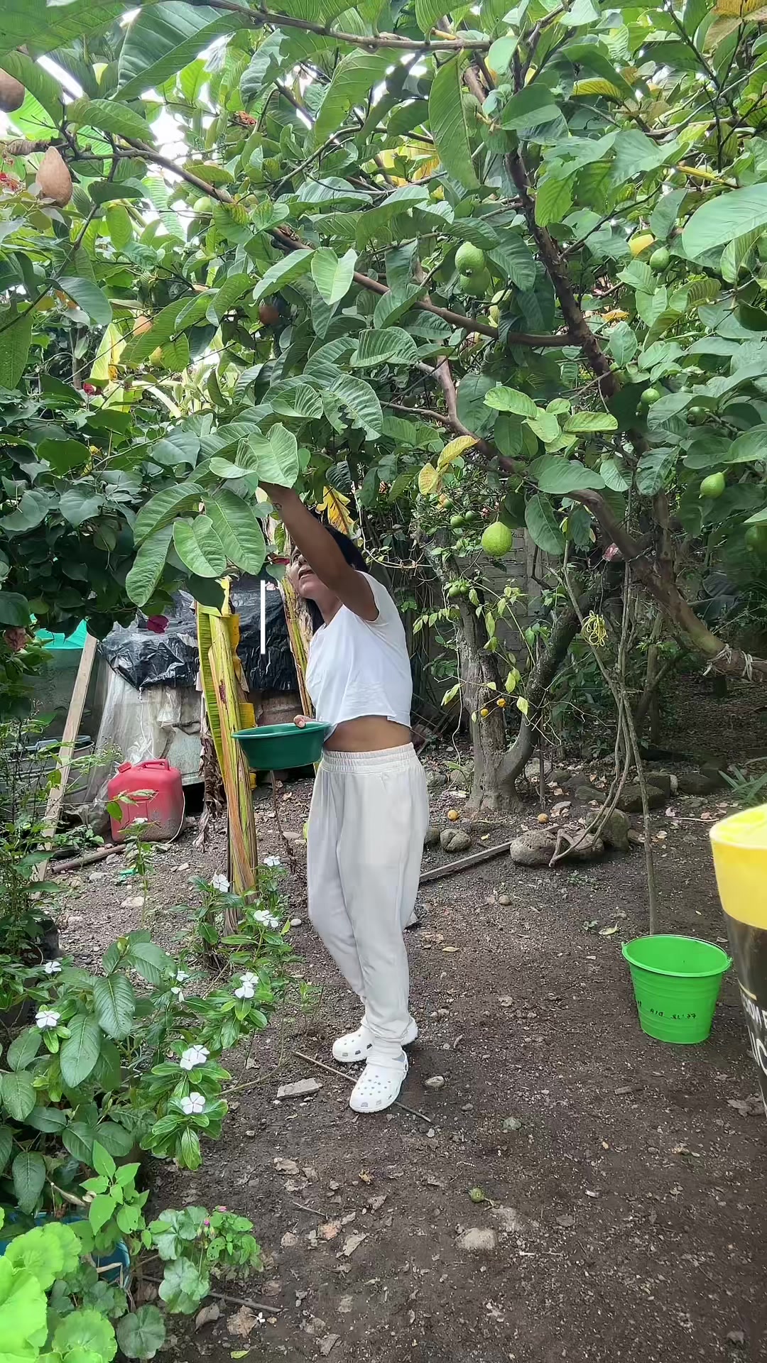 @KarlhMendez