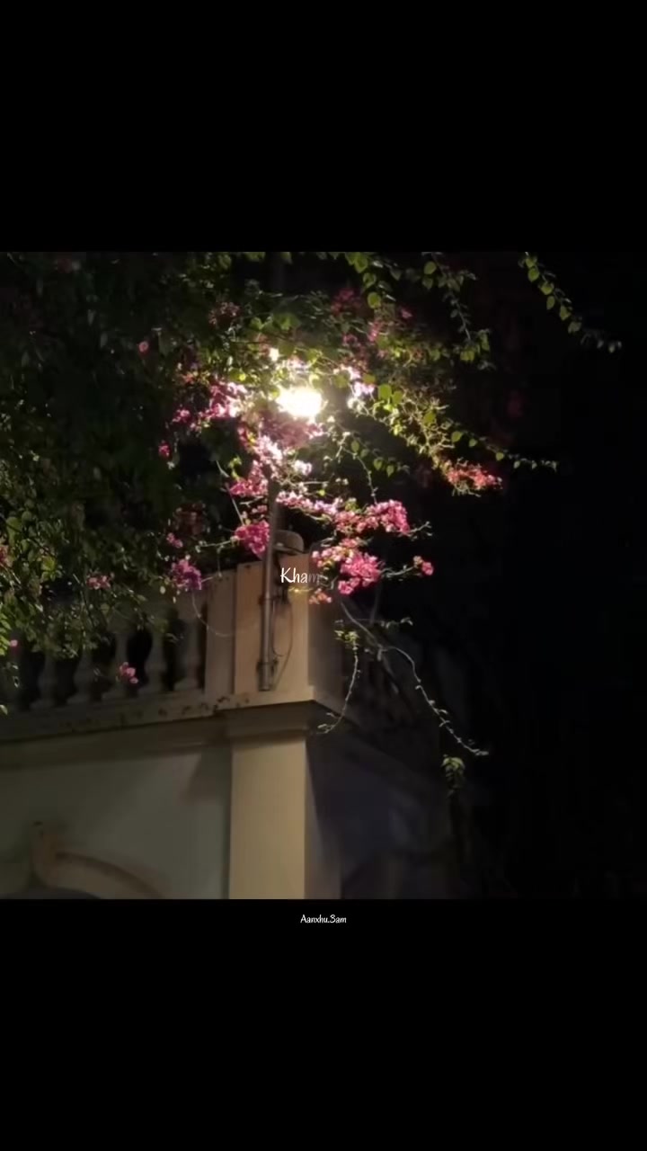 @B7F乛حسيب