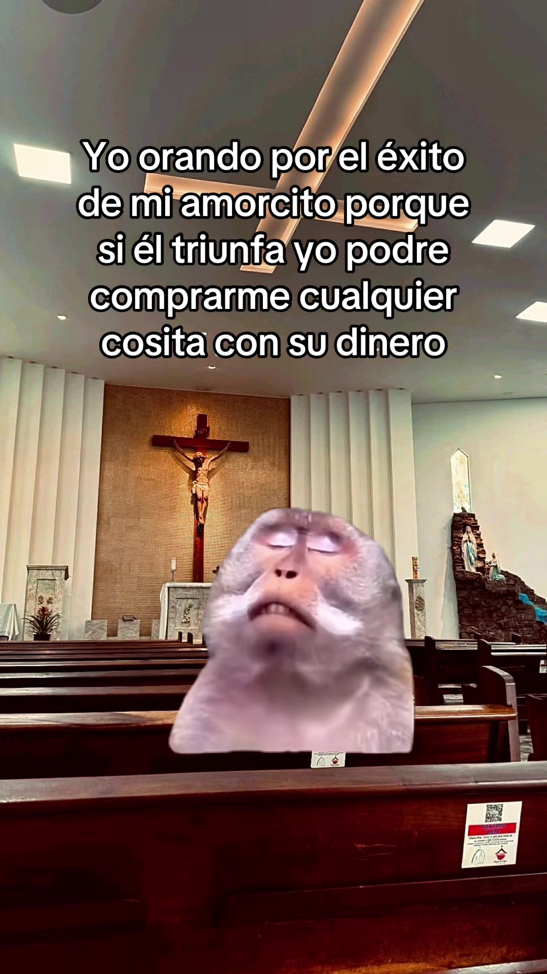 @El Woody 🤠