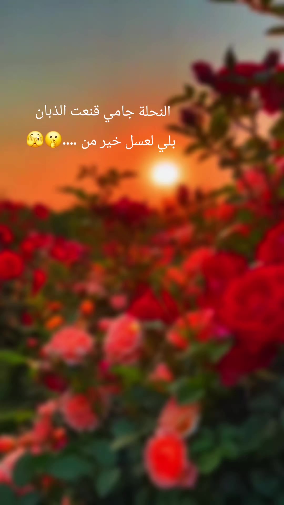 @❤️