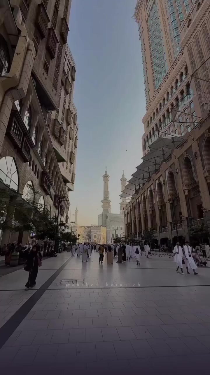 @احمد بكران 515