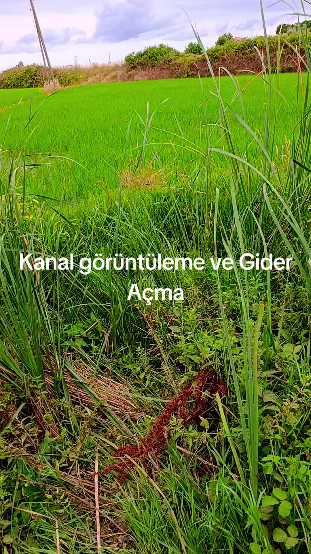@Bafra Gider A&ccedil;ma