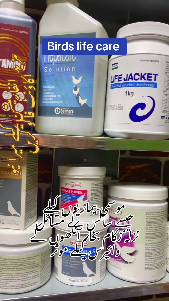 @سید عدنان شیراز